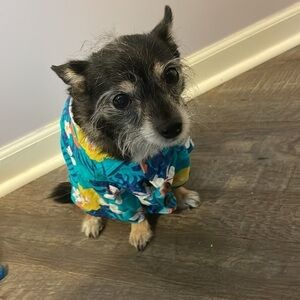 Top Paw Rayon Teal Floral Hawaiian Shirt size M dog